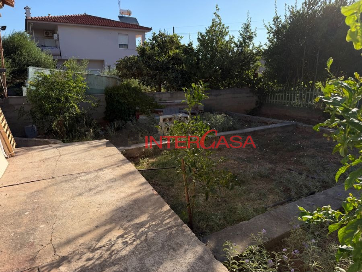 property-img