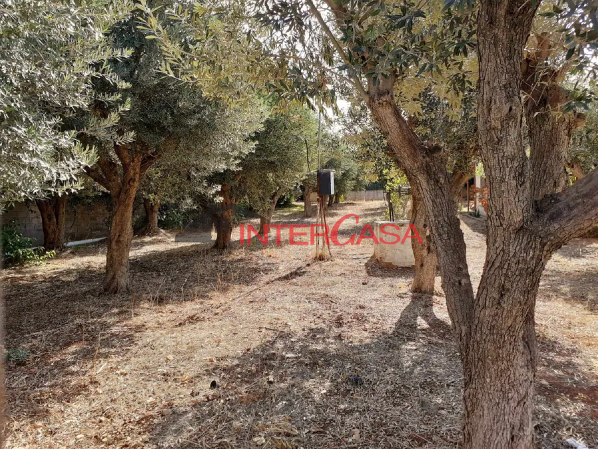 property-img
